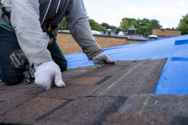 Fast & Reliable Emergency Roof Repairs in Monongah, WV
