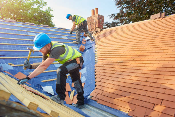 Best Metal Roofing Installation  in Monongah, WV